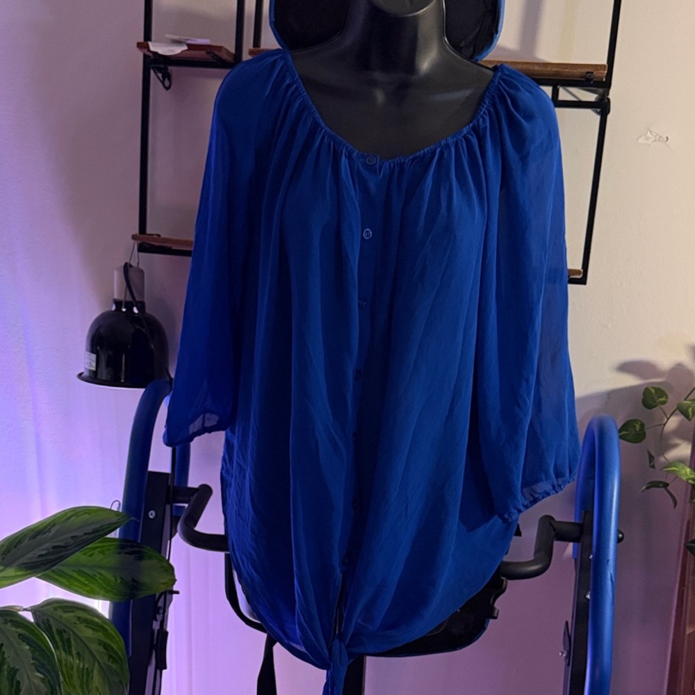 Women's Blue Sheer Button-Down Blouse